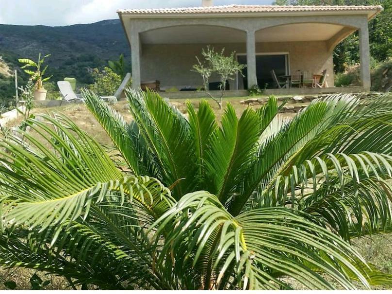 Ferienwohnung Ma Vie La Patrimonio Exterior foto